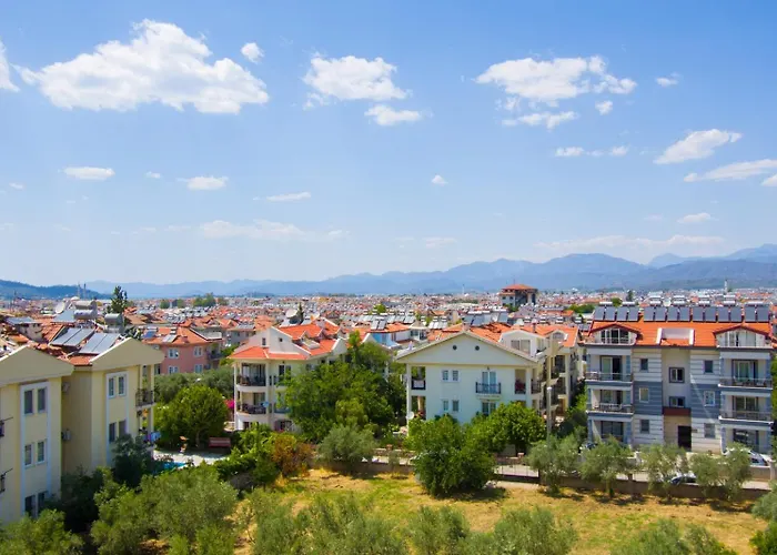 Daire Yılmaz